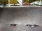 1999 Dodge Ram 2500 Laramie SLT