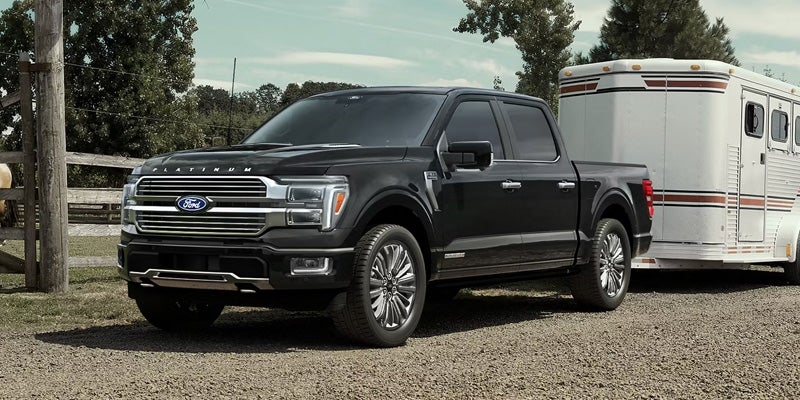A black Ford F-150 Platinum towing a classic white and brown horse trailer on a gravel road.