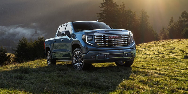 A dark blue pickup truck parked on a grassy hill with tall trees and a foggy valley in the background.