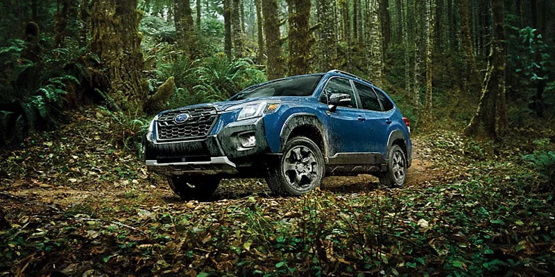 Blue SUV driving off-road on forest trail terrain