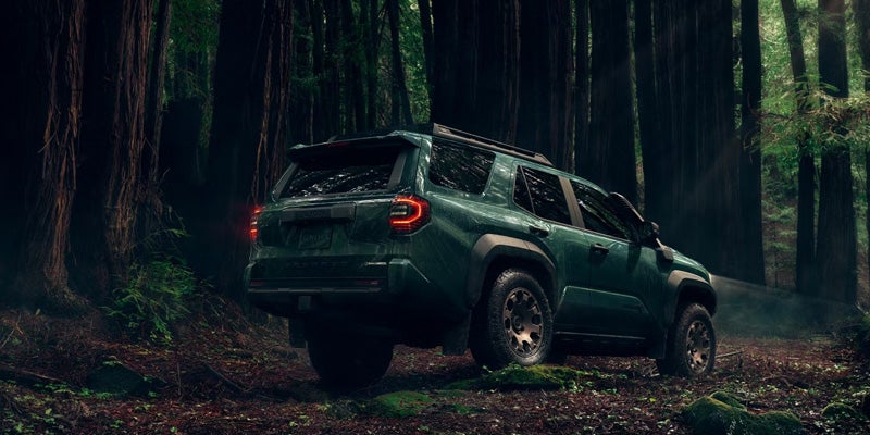 SUV with orange taillights and black roof rails, parked in a dimly lit forest with large trees.