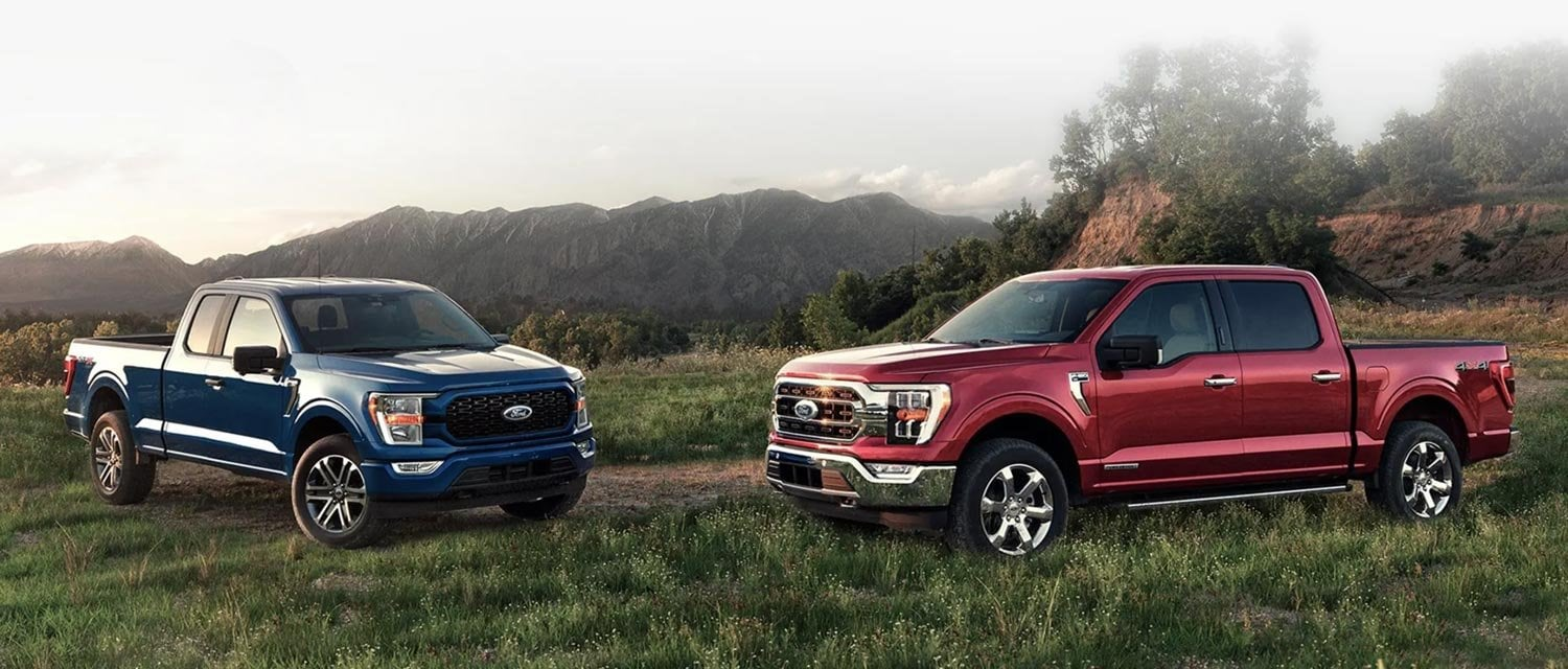 2 Ford trucks parked in grass, one blue, one red